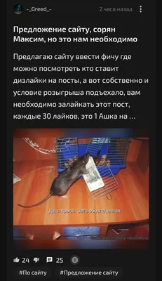 изображение поста