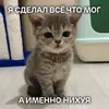 Аватар паблишера 251-ReBots