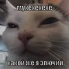 Аватар паблишера Lemm13