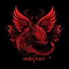 Аватар паблишера Team_Imbilyav