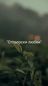 Отголоски любви