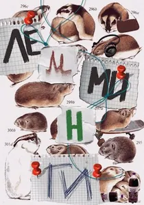 title image