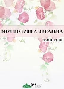 Моя подушка идеальна (Новелла)