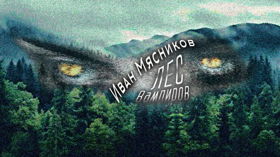 Обои