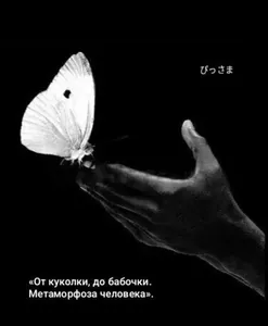 Я, превратившаяся из куколки в бабочку, и мой несчастный друг детства