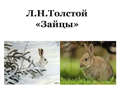 title image