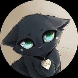 котик2