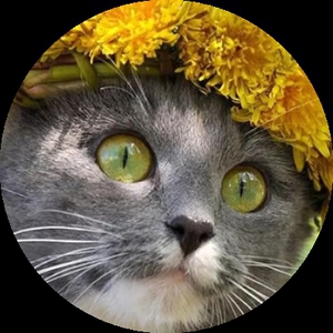 Кот_Еврей