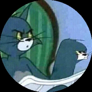 Novichek