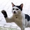 TeacherRKI