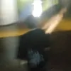 Игрок_в_осу