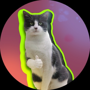 potato_D