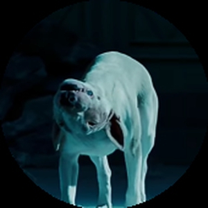 GOATALLY