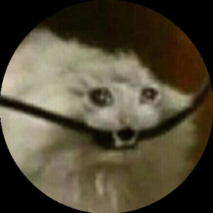 zwoied