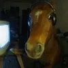 Marchocias