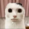Сёma