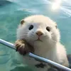 Кенри