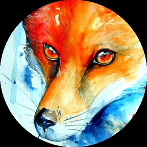 FoxDertSix