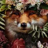 Buhen-Fox