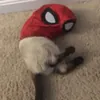 Апчихххх