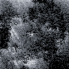 PolyPoo