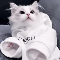 Momonga_000