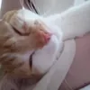 Соня_Бэтмен