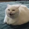 Тот_самый_огурец