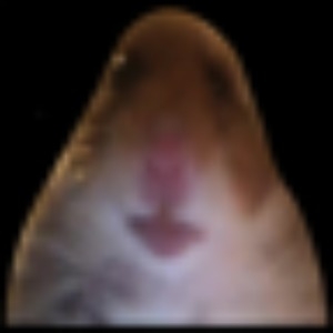 Mamonger