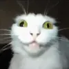 Смотрящийвбездну