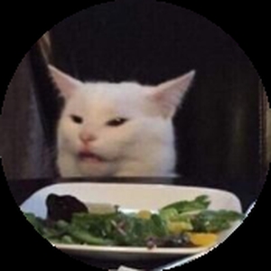 Confused_Cat