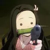 2555825