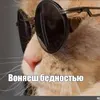 Сибирский-Человек