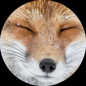 ByFox