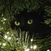 Йольский_кот