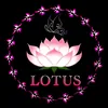 LOTUS2084