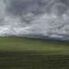 iiwpod