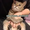 мало_половин