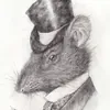 andrebili