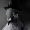 WalGul