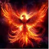 GiviD