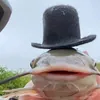 Catfish152