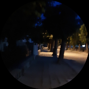 Anora-95