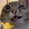Chama
