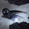 Astral_Fox