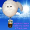 Из_Чая_И_Манхв_