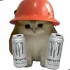 Provaider