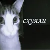 Schuali