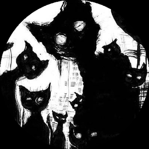 Black_-Cat