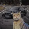 dsmlv